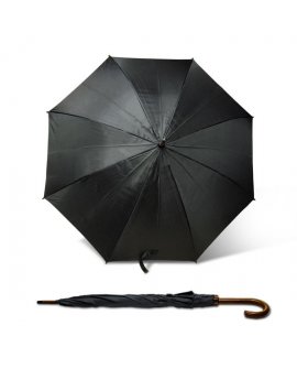Automatic umbrella STICK
